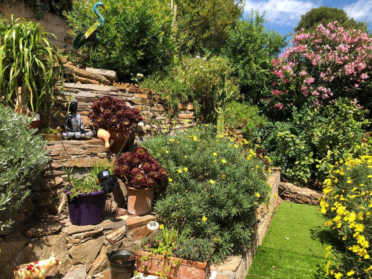 Logement Zen Sur La Colline Aux Mimosas Hyères Esterno foto