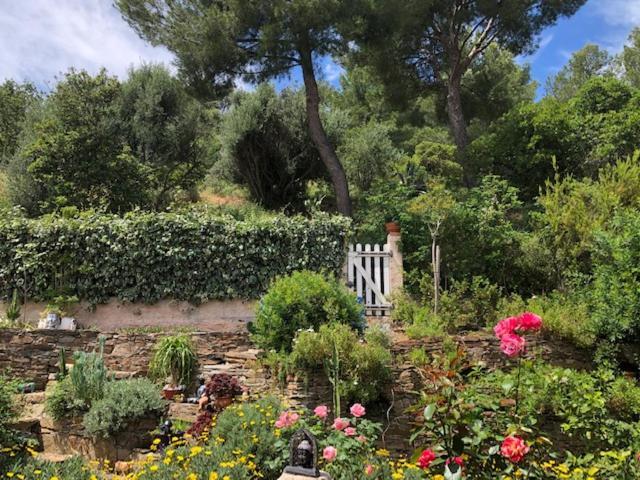 Logement Zen Sur La Colline Aux Mimosas Hyères Esterno foto