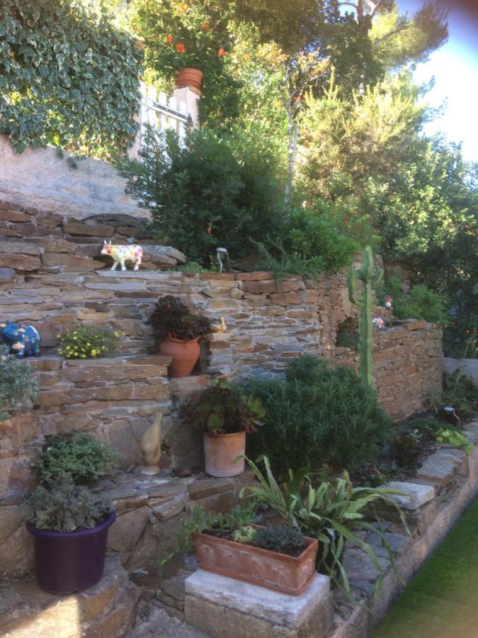 Logement Zen Sur La Colline Aux Mimosas Hyères Esterno foto