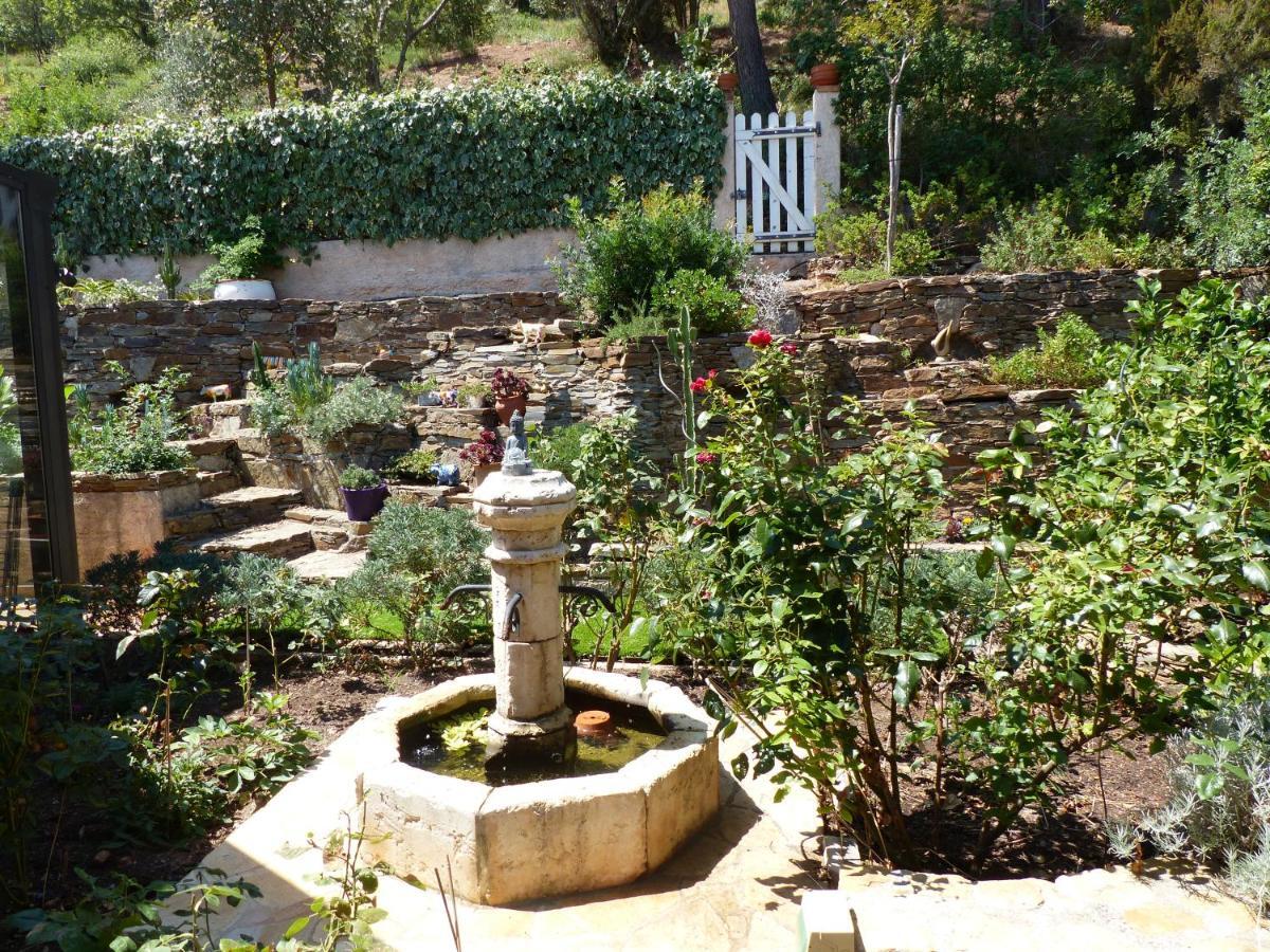 Logement Zen Sur La Colline Aux Mimosas Hyères Esterno foto